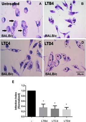 Cysteinyl-leukotrienes promote cutaneous Leishmaniasis control